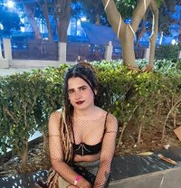 Shivani Shemale - Transsexual escort in Lucknow