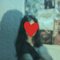 Shivani webcam girl. - escort in Mumbai Photo 2 of 4