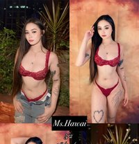 Shogun Spa Metro Manila - escort in Manila