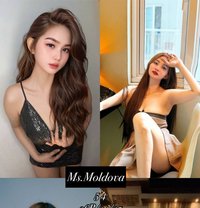 Shogun Spa Metro Manila (NURU) - escort in Manila
