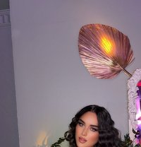 Arabic vip xxl شمس عربيه سكسيه - Transsexual escort in İstanbul