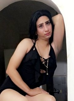 Shosho Queen - Transsexual escort in Cairo Photo 1 of 7