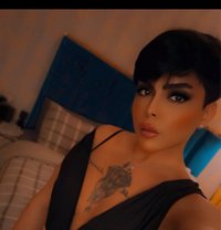Shoshoشام - Transsexual escort in Dubai