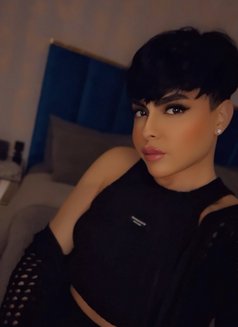 Shoshoشام - Acompañantes transexual in Dubai Photo 4 of 6
