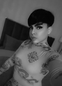 Shoshoشام - Transsexual escort in Dubai Photo 6 of 6