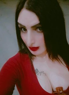 Shraddha - Transsexual escort in New Delhi Photo 25 of 25