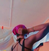 Shrank - Transsexual escort in Nairobi