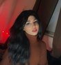 Shsho - Acompañantes transexual in Beirut Photo 1 of 1