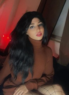 Shsho - Acompañantes transexual in Beirut Photo 1 of 1