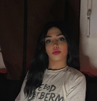 Shsho - Transsexual escort in Beirut