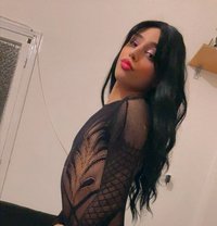Shsho - Transsexual escort in Beirut