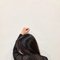 Shweta - escort in Noida Photo 2 of 4