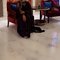 Shweta Sharma indepndent married lady - puta in New Delhi Photo 2 of 9