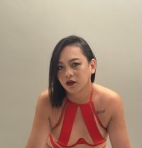 Shyshy - Acompañantes transexual in Manila