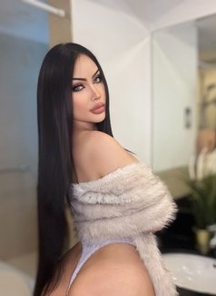 Sia big booty strong cock - Transsexual escort in Dubai Photo 11 of 12