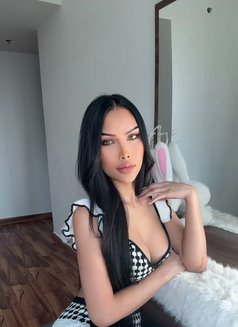 Sia Sohot Good for First Timer - Transsexual escort in Riyadh Photo 9 of 22