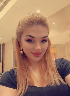 Sibel Tall, Bi Assets, 27 Moscow F - escort in Bangkok Photo 5 of 6