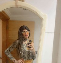 Sila - Transsexual escort in Beirut