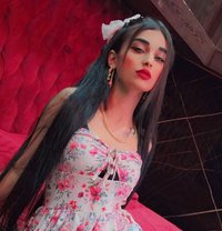 Silina - escort in Beirut
