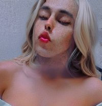Silla - Transsexual escort in Cairo