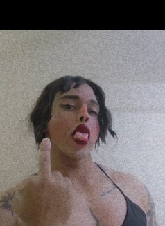 Silla - Transsexual escort in Cairo Photo 9 of 10