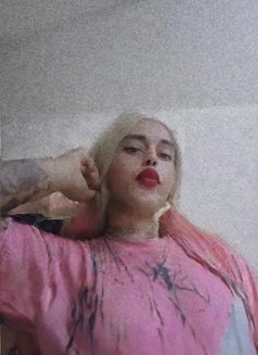 Silla - Transsexual escort in Cairo Photo 1 of 6