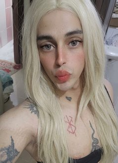 Silla - Acompañantes transexual in Cairo Photo 7 of 8