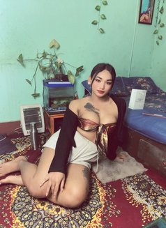 Silvana - Transsexual escort in Kathmandu Photo 9 of 9