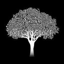 silvertree909's avatar