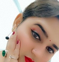 Royal Simmi - Transsexual escort in Jaipur