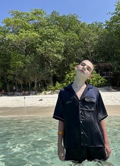 Simon - Male escort in Phuket Photo 7 of 12