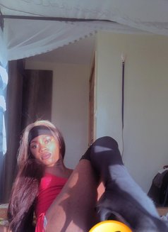 Sin🏳️⚧️ - Agencia de acompañantes transexuales in Nairobi Photo 1 of 14