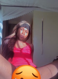 Sin🏳️⚧️ - Agencia de acompañantes transexuales in Nairobi Photo 2 of 14