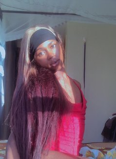 Sin🏳️⚧️ - Agencia de acompañantes transexuales in Nairobi Photo 4 of 14