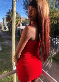 Sin🏳️⚧️ - Agencia de acompañantes transexuales in Nairobi Photo 6 of 14