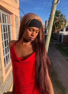 Sin🏳️⚧️ - Agencia de acompañantes transexuales in Nairobi Photo 7 of 14
