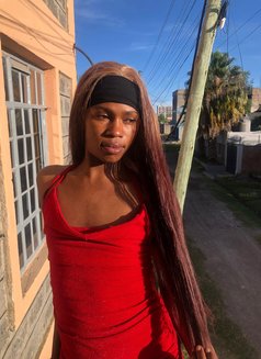 Sin🏳️⚧️ - Agencia de acompañantes transexuales in Nairobi Photo 8 of 14