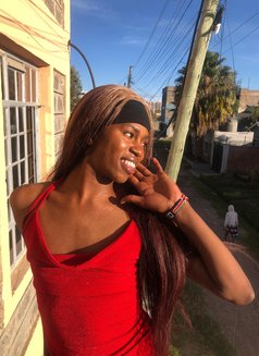 Sin🏳️⚧️ - Agencia de acompañantes transexuales in Nairobi Photo 9 of 14