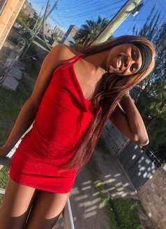 Sin🏳️⚧️ - Agencia de acompañantes transexuales in Nairobi Photo 10 of 14