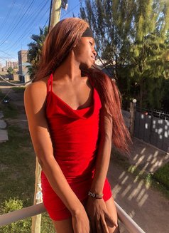 Sin🏳️⚧️ - Agencia de acompañantes transexuales in Nairobi Photo 11 of 14