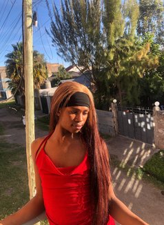 Sin🏳️⚧️ - Agencia de acompañantes transexuales in Nairobi Photo 12 of 14