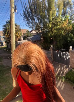 Sin🏳️⚧️ - Agencia de acompañantes transexuales in Nairobi Photo 13 of 14