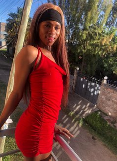 Sin🏳️⚧️ - Agencia de acompañantes transexuales in Nairobi Photo 14 of 14