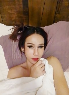 Sindy - Transsexual escort in Bangkok Photo 3 of 8