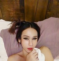 Sindy - Acompañantes transexual in Bangkok