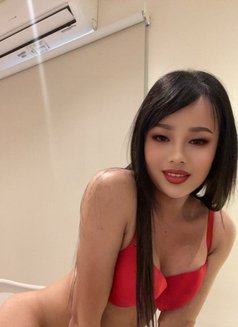 Sing Sing Ladyboy🇰🇷🇸🇦 - Acompañantes transexual in Riyadh Photo 1 of 10