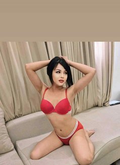 Sing Sing Ladyboy🇰🇷🇸🇦 - Acompañantes transexual in Riyadh Photo 7 of 10