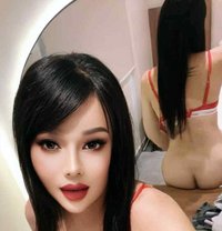 Sing Sing Ladyboy🇰🇷🇸🇦 - Transsexual escort in Riyadh Photo 12 of 15