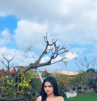 Sintia - escort in Bali