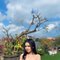 Sintia - escort in Bali Photo 4 of 6